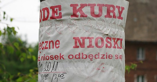 Rajd Karkonoski